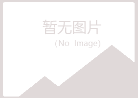 寿宁县从容能源有限公司